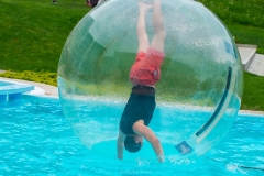 DSCF6114